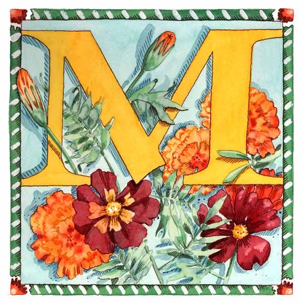 M is for Marigold