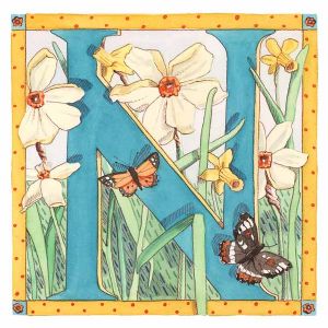 N is for Narcissus