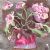 Ranunculus in Speckled Pot