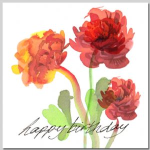 Ranunculus - Birthday