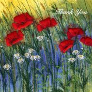 Red Field Poppies Thank You